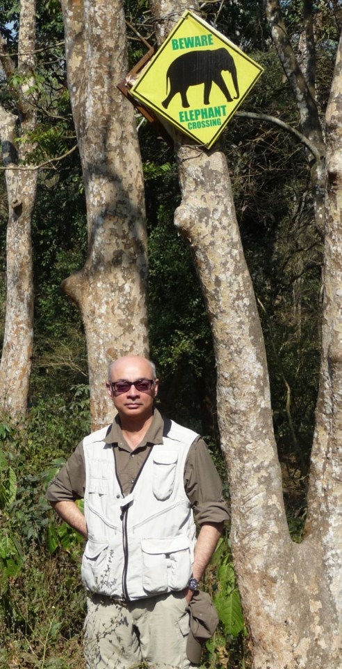 On adventure in the jungle.