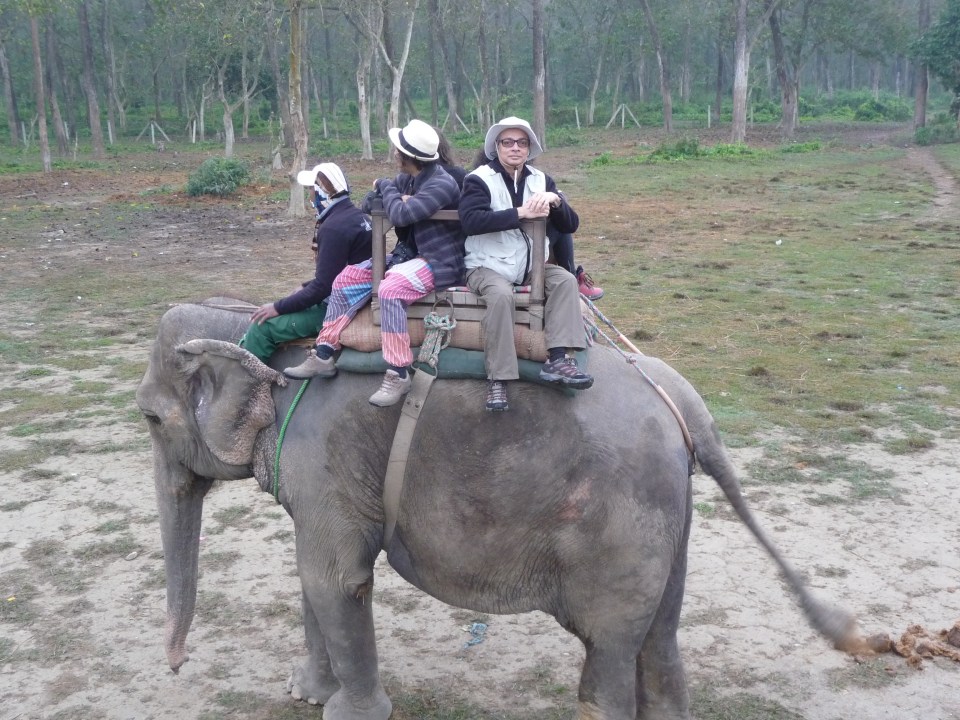 Elephant safari, Chitwan National Reserve, Nepal
