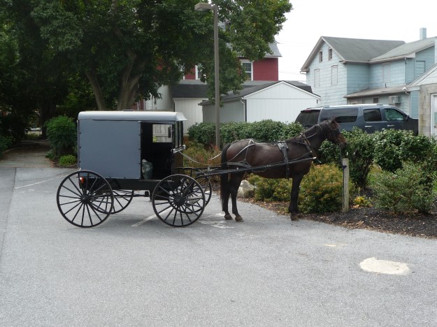 The old and the new, side by side. Photo: Ranjan Mukherjee