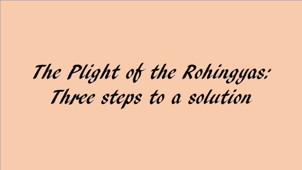 Suu Kyi, Rohingya plight and three steps to a solution