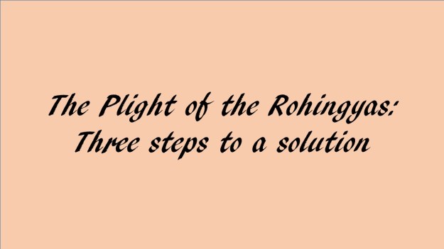 Suu Kyi, Rohingya plight and three steps to a solution