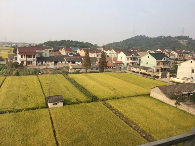View from the train in China