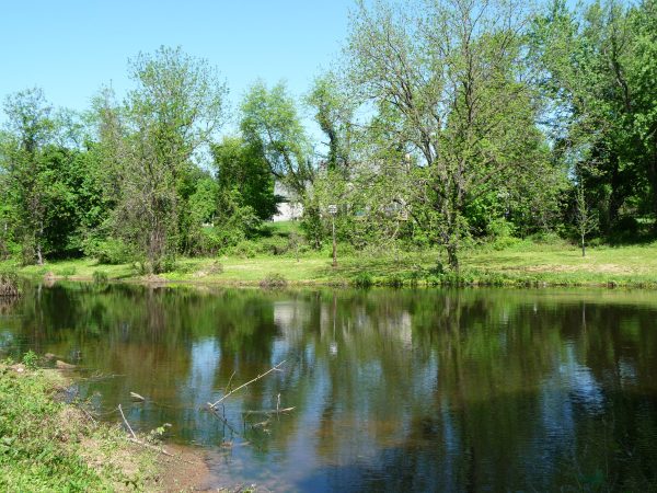 The pond in spring.