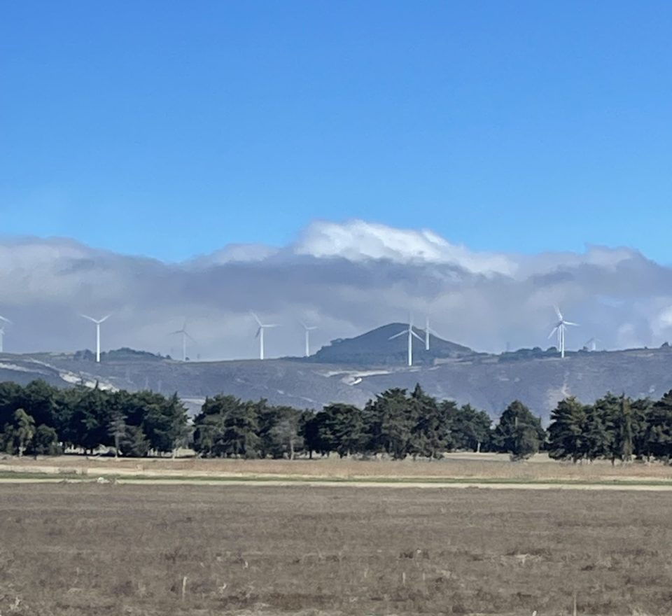 Windmills en route to Palenque.