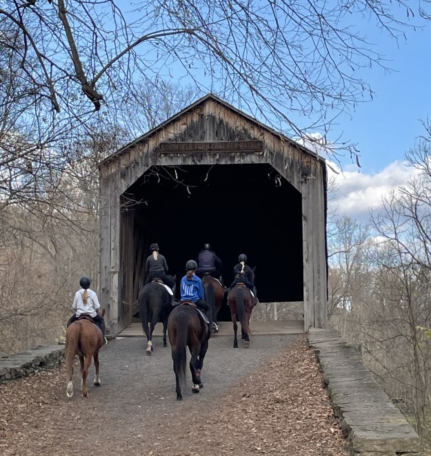 Horses crossing Schofield Covered Bridge, Tyler Park, PA.