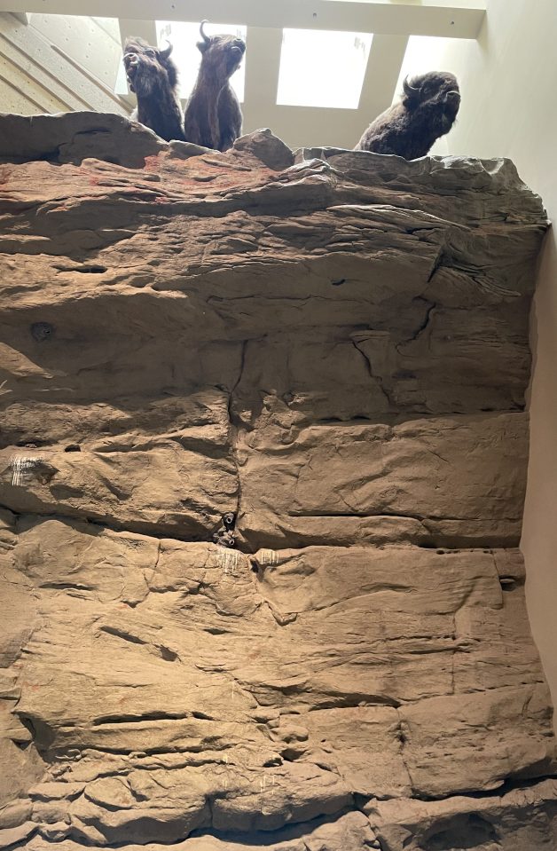 Head smashed in buffalo jump, Canada