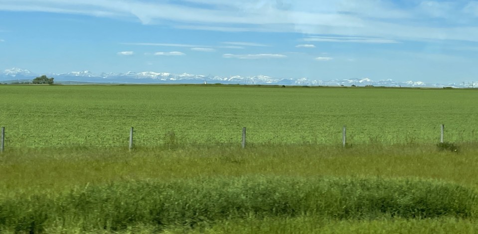 Open prairies of western Canada.