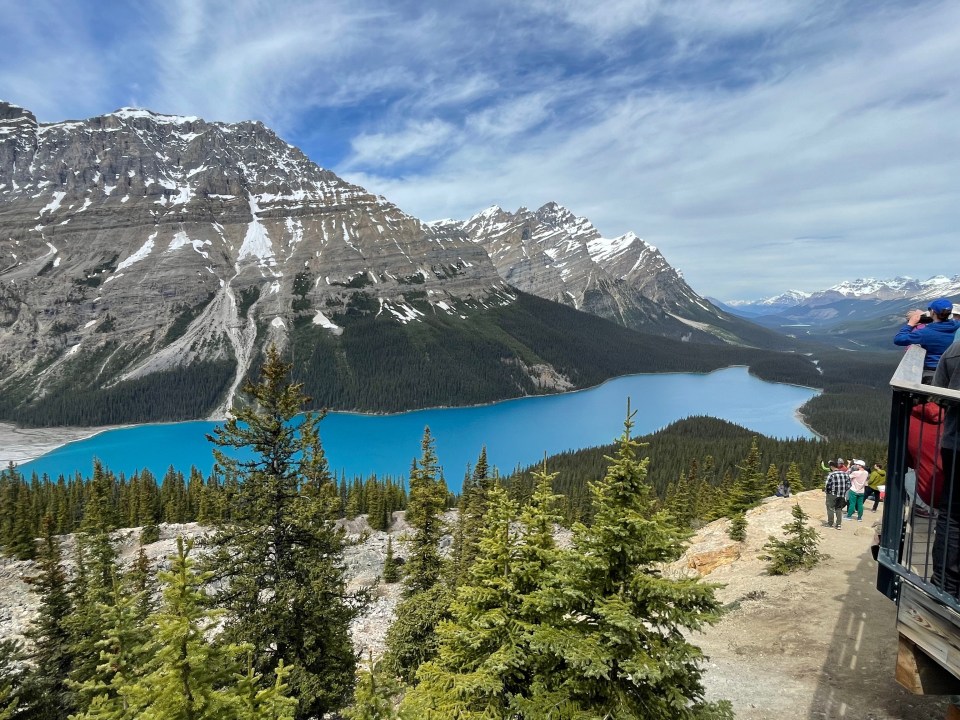 Peyto Lake, Banff National Park, Canada. This was the bluest of the three lakes we saw today.