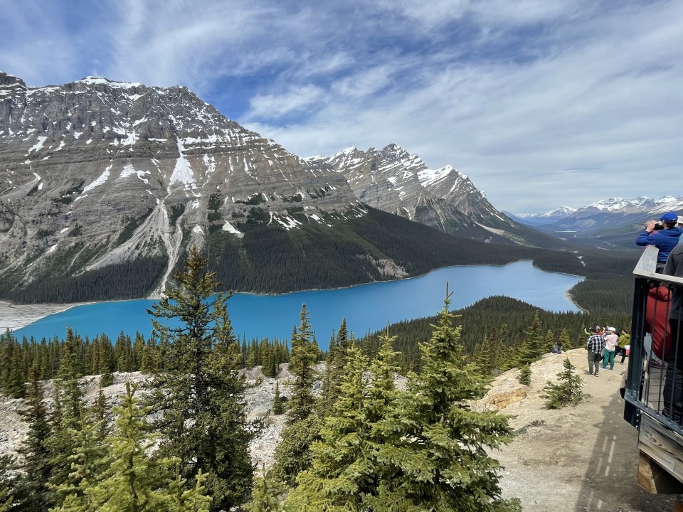 Peyto Lake with its unique blue color.