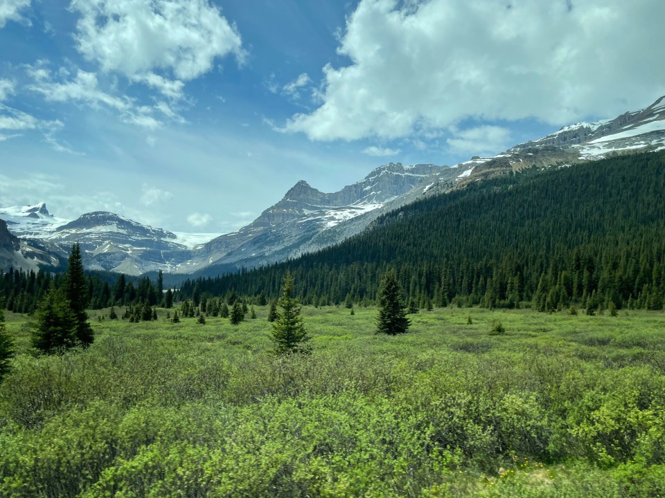 Verdant meadows, pine covered hills and snow capped mountains, Canada.